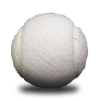 Image of Promotional White Tennis Balls - Custom Printed
