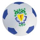 Image of Printed Football Stress Balls - Blue and White