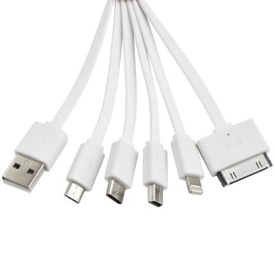 Image of Printed Charging Cable Smart 6-in-1 Includes Type C