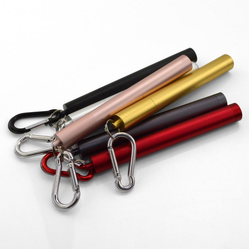 Image of Promotional Reusable Eco Straw With Case And Carabiner Keyring