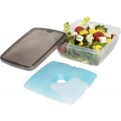 Image of Promotional Reusable Lunch Box With Ice Pack Dishwasher And Microwave Safe