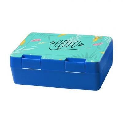 Image of Promotional Budget Lunch Box With Full Colour Print