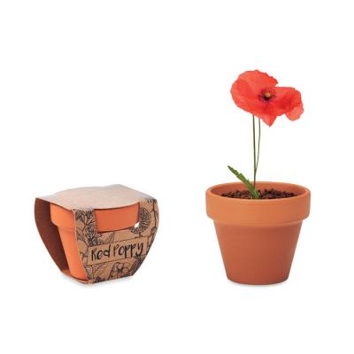Image of Promotional Terracotta Flower Pot With Poppy Seeds