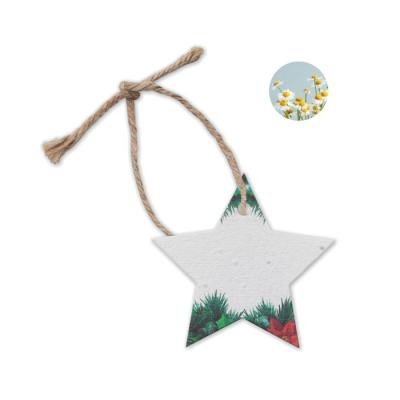 Image of Printed Eco Christmas Tree Decoration Star Shaped Made From Seed Paper