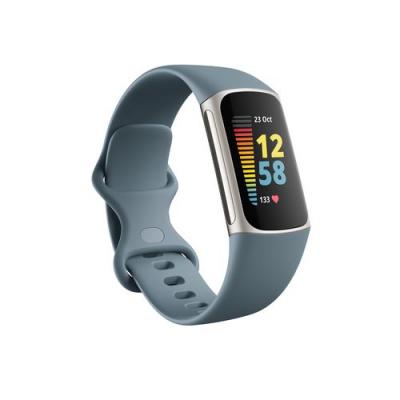 Image of Fitbit Charge 5 Activity Tracker Steel Blue Platinum Stainless Steel