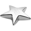 Image of Star Paperweight