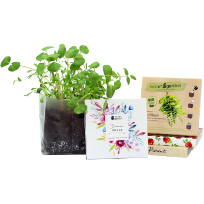 Image of Promotional Grow Your Own Gift Set