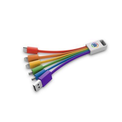 Image of Promotional 6 in 1 Charging Cables ( Rainbow )