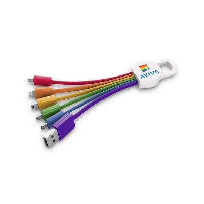 Image of Promotional Rainbow Multi Charging Cable With Carabiner