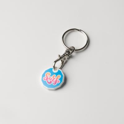 Image of Eco 12 Sided Trolley Coin Keyring