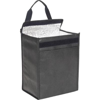 Image of Chatham Recycled Lunch Cooler Bag